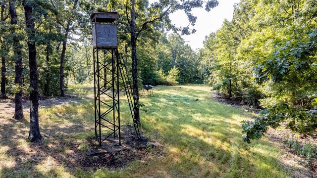 314 Bear Bluff Trail, Ravenden, AR 72459