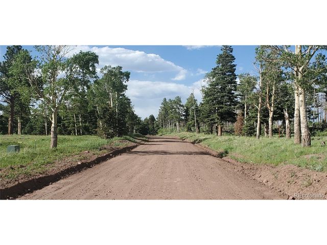 2120 Sigler Dr, Fort Garland, CO 81133