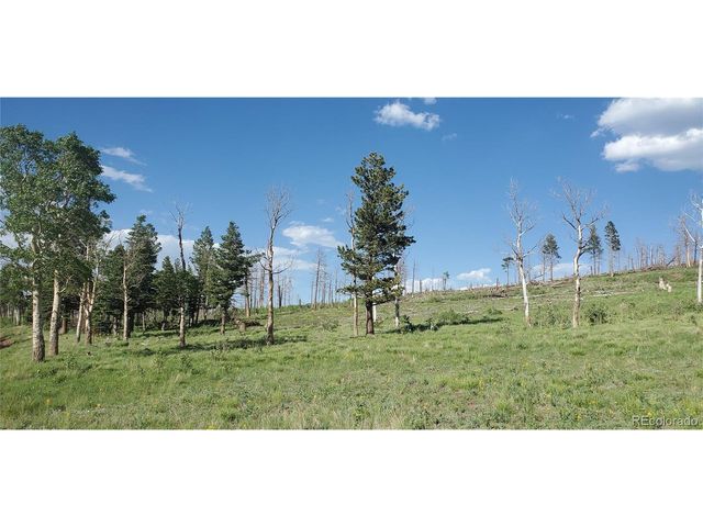 2120 Sigler Dr, Fort Garland, CO 81133