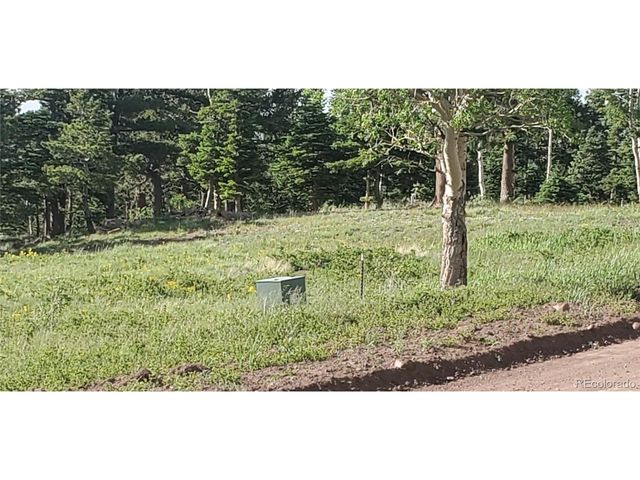 2120 Sigler Dr, Fort Garland, CO 81133