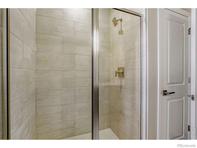 656 Noola Street, Windsor, CO 80550