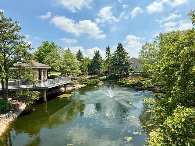 13462 Dearborn Trail, Huntley, IL 60142