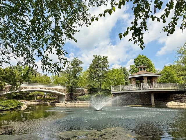 13462 Dearborn Trail, Huntley, IL 60142