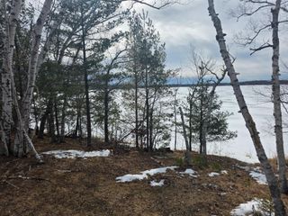 TBD Andrusia Road SE, Cass Lake, MN 56633