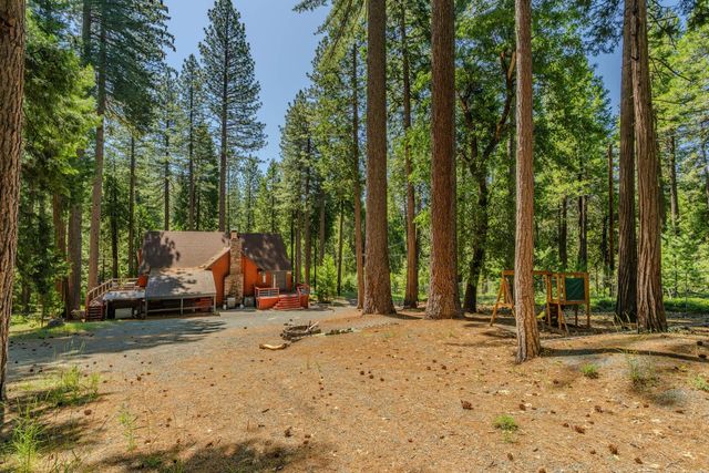 19541 Woodridge Dr, Pioneer, CA 95666