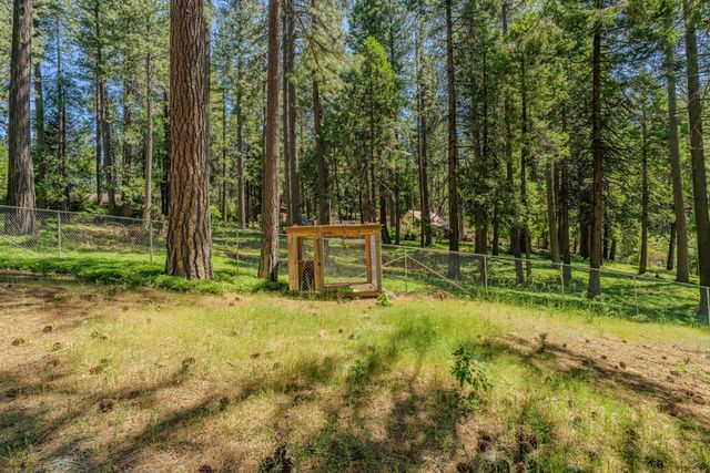 19541 Woodridge Dr, Pioneer, CA 95666