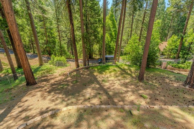 19541 Woodridge Dr, Pioneer, CA 95666