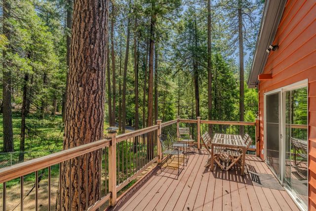 19541 Woodridge Dr, Pioneer, CA 95666