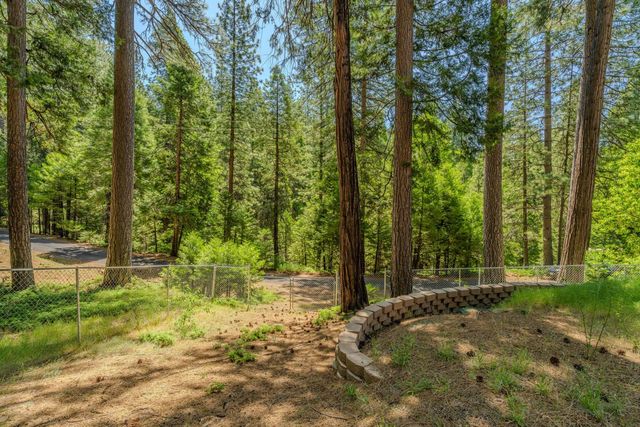 19541 Woodridge Dr, Pioneer, CA 95666