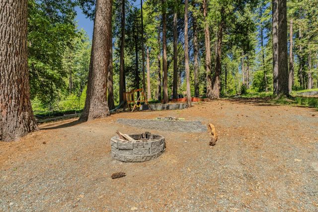 19541 Woodridge Dr, Pioneer, CA 95666