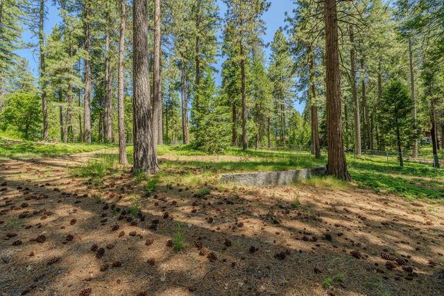 19541 Woodridge Dr, Pioneer, CA 95666