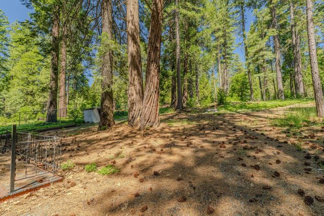 19541 Woodridge Dr, Pioneer, CA 95666