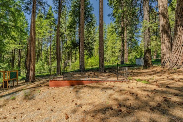 19541 Woodridge Dr, Pioneer, CA 95666