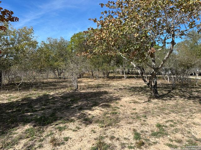 235 E King Phillips, Poteet, TX 78065