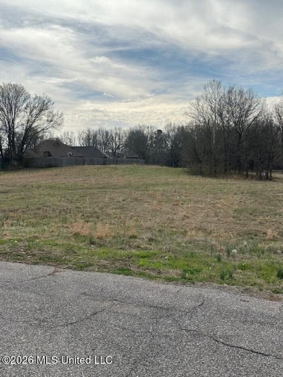 W Alden Lake Dr., Horn Lake, MS 38637 — photo 4