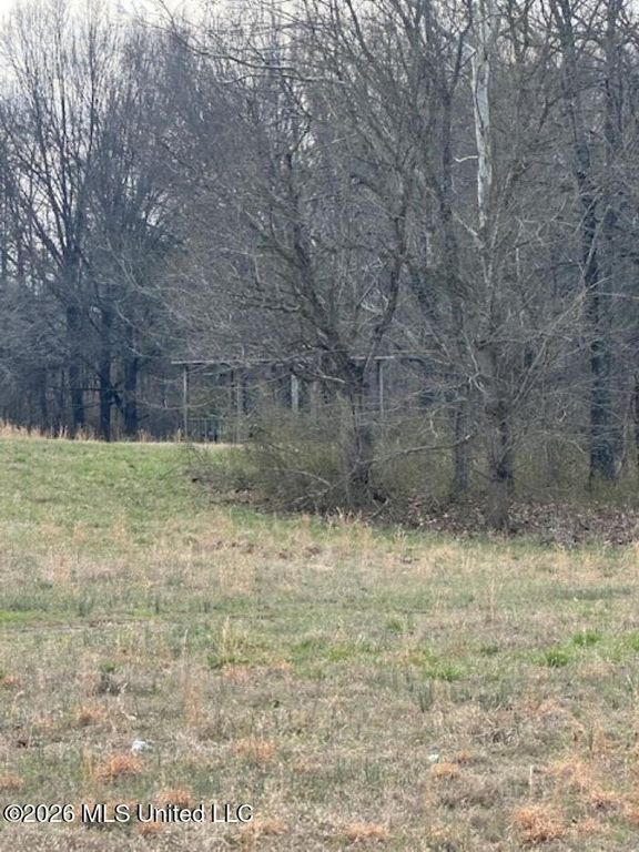 W Alden Lake Dr., Horn Lake, MS 38637 — photo 5