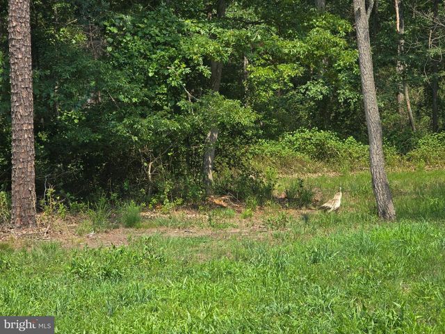 450 ALMOND RD, Pittsgrove, NJ 08318