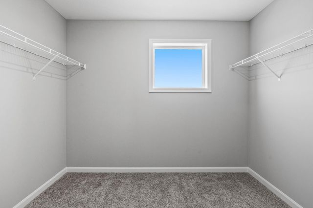 6231 Radford Avenue NE, Otsego, MN 55374