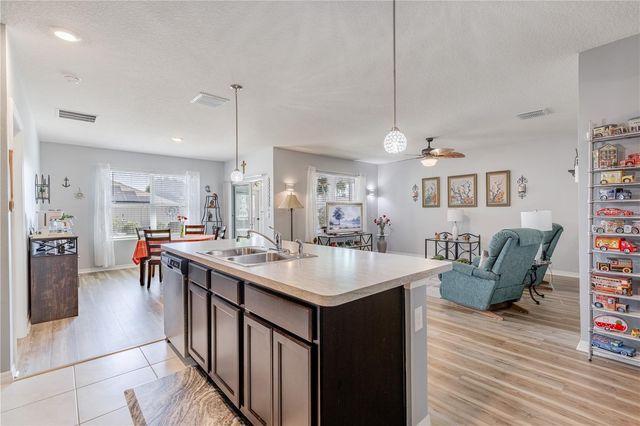 1768 HENIN CIRCLE, Tavares, FL 32778