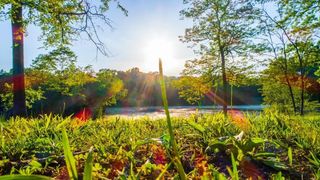 0 Forest Retreat Rd, Hendersonville, TN 37075