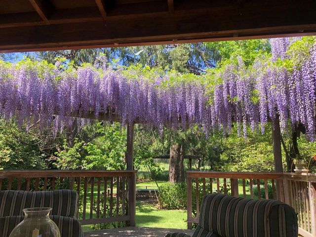 2100 Sisley Rd, Penryn, CA 95663