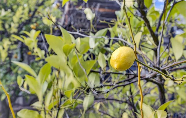 2100 Sisley Rd, Penryn, CA 95663