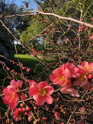 2100 Sisley Rd, Penryn, CA 95663