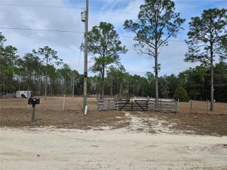 13391 NE 43RD LANE, Williston, FL 32696