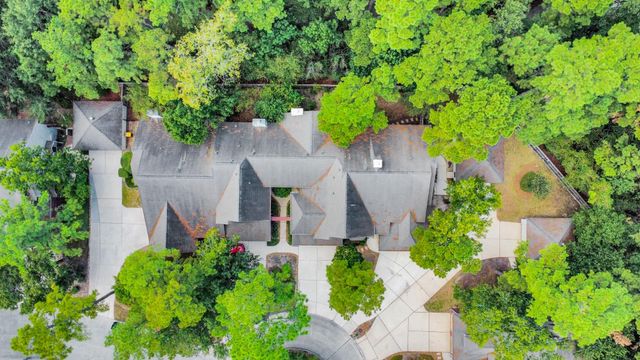 138 N Magnolia Pond Place, The Woodlands, TX 77381