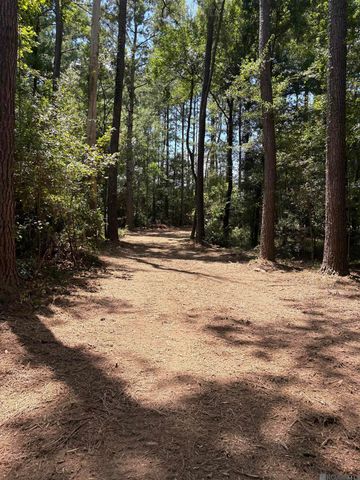 38270 Walker North Rd, Walker, LA 70785