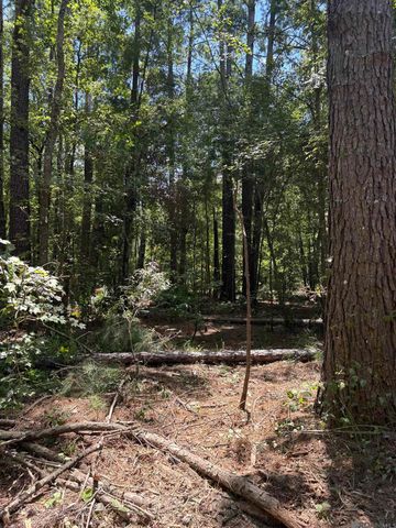 38270 Walker North Rd, Walker, LA 70785