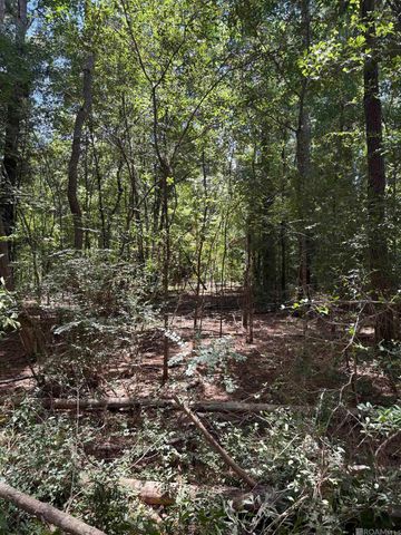 38270 Walker North Rd, Walker, LA 70785