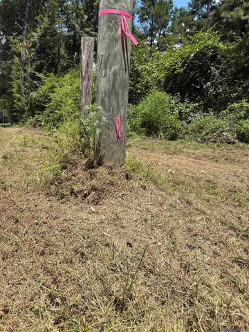 38270 Walker North Rd, Walker, LA 70785