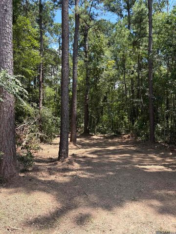 38270 Walker North Rd, Walker, LA 70785