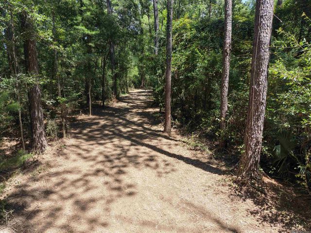 38270 Walker North Rd, Walker, LA 70785