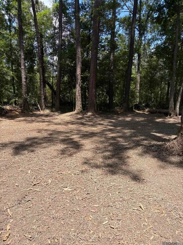38270 Walker North Rd, Walker, LA 70785