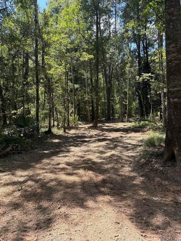 38270 Walker North Rd, Walker, LA 70785