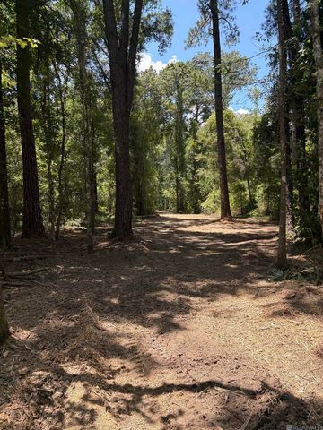 38270 Walker North Rd, Walker, LA 70785