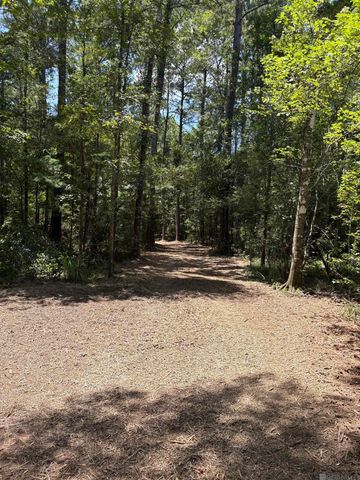 38270 Walker North Rd, Walker, LA 70785
