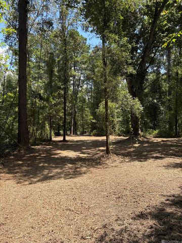 38270 Walker North Rd, Walker, LA 70785