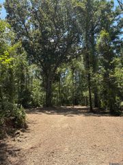 38270 Walker North Rd, Walker, LA 70785