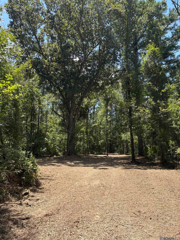 38270 Walker North Rd, Walker, LA 70785