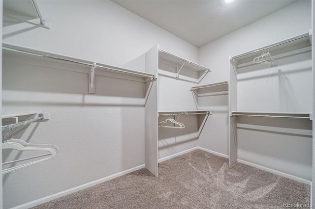 5163 N Quatar Street, Aurora, CO 80019
