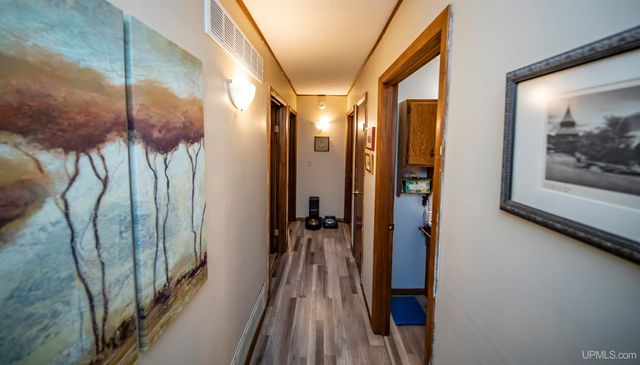 161 Camp Lake Road, Iron River, MI 49935