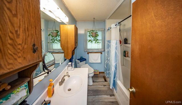 161 Camp Lake Road, Iron River, MI 49935