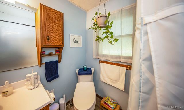 161 Camp Lake Road, Iron River, MI 49935