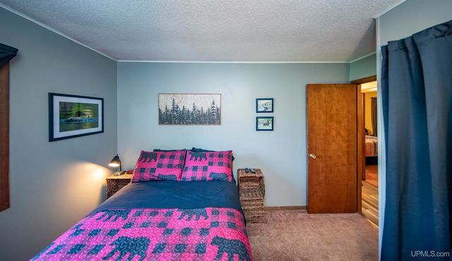 161 Camp Lake Road, Iron River, MI 49935