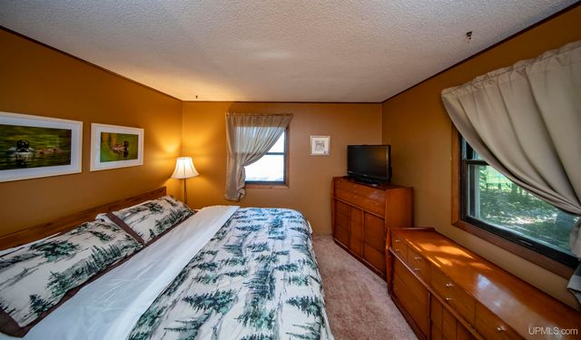 161 Camp Lake Road, Iron River, MI 49935