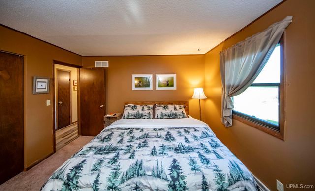 161 Camp Lake Road, Iron River, MI 49935