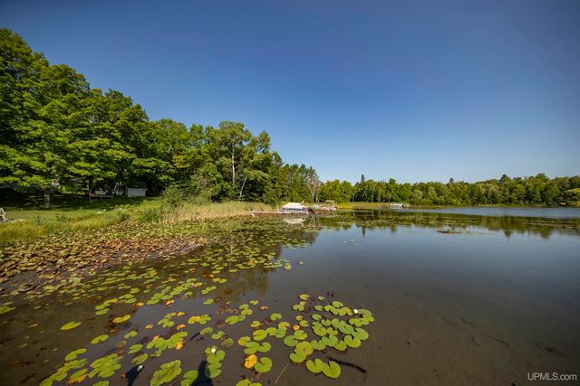 161 Camp Lake Road, Iron River, MI 49935